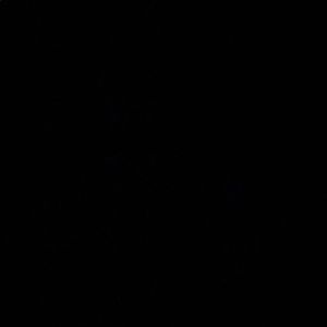 Meet your Posher, Annika